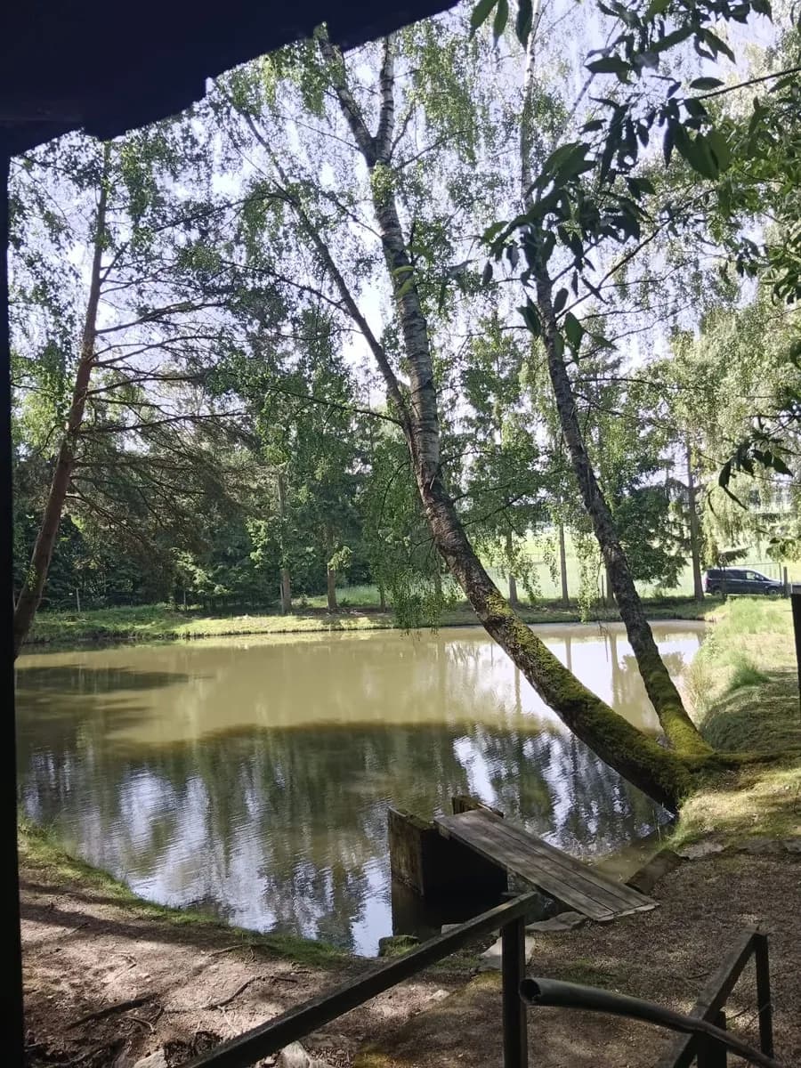 Immobilie kaufen in Zwettl – 5 000 m², € 99.999 – Bild 4 von 17