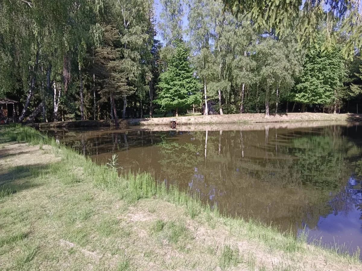 Immobilie kaufen in Zwettl – 5 000 m², € 99.999 – Bild 5 von 17