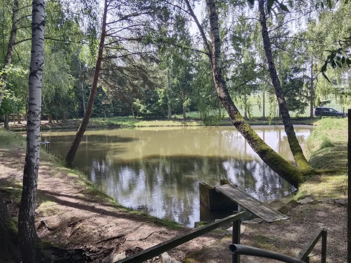Immobilie kaufen in Zwettl – 5 000 m², € 99.999 – Bild 7 von 17