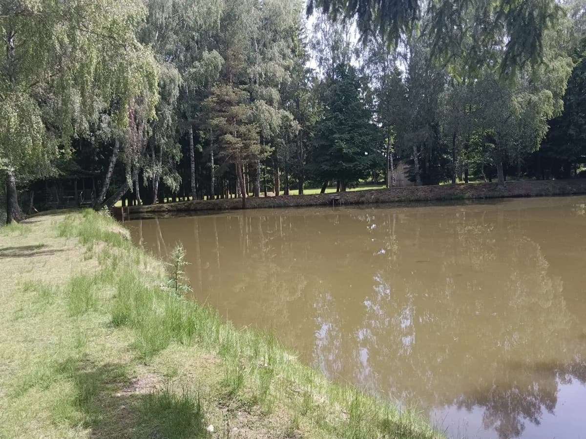 Immobilie kaufen in Zwettl – 5 000 m², € 99.999 – Bild 8 von 17