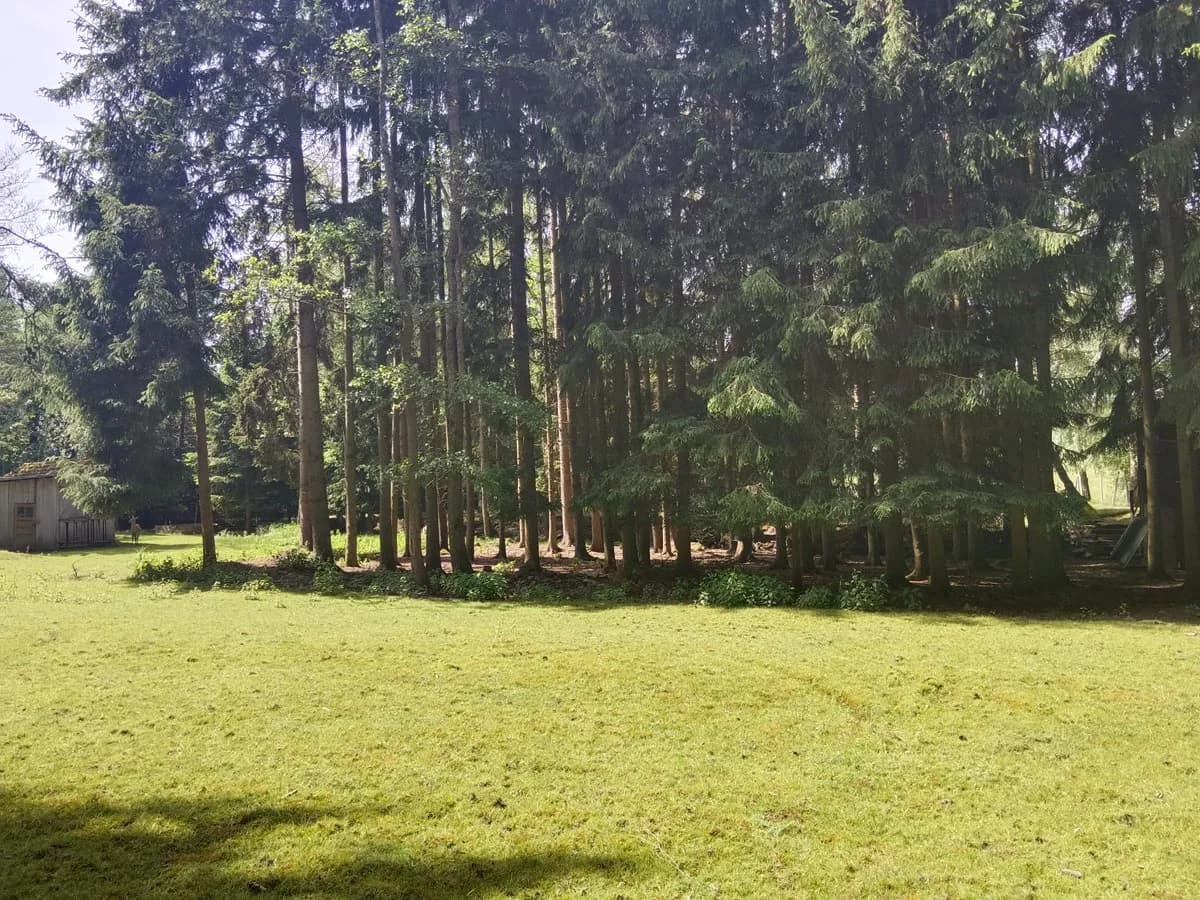 Immobilie kaufen in Zwettl – 5 000 m², € 99.999 – Bild 9 von 17