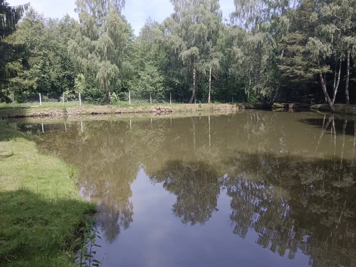 Immobilie kaufen in Zwettl – 5 000 m², € 99.999 – Bild 11 von 17