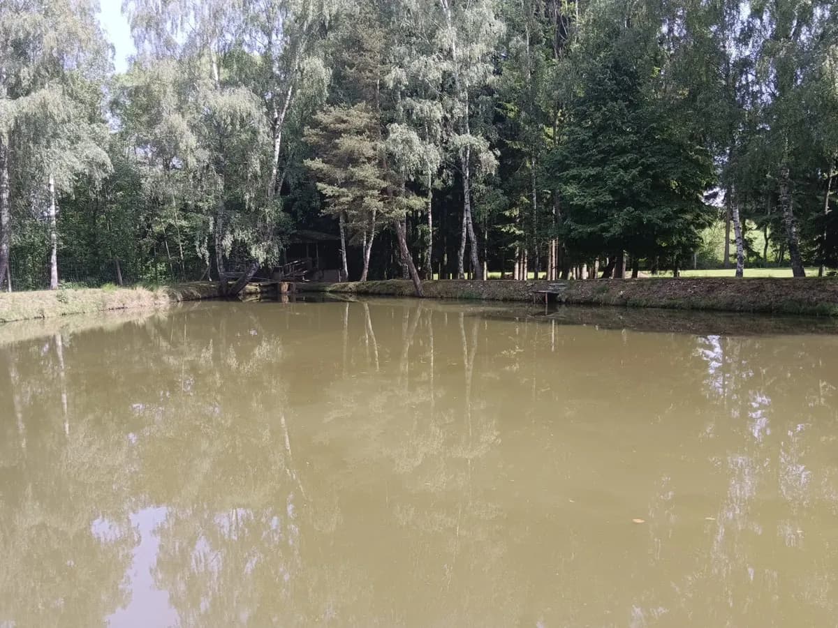 Immobilie kaufen in Zwettl – 5 000 m², € 99.999 – Bild 12 von 17