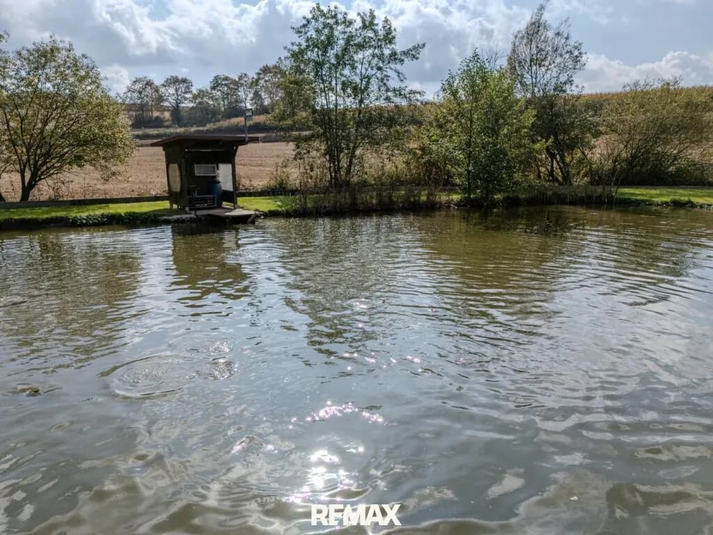 Immobilie kaufen in Deutschlandsberg – 9 565 m², € 319.000 – Bild 6 von 10