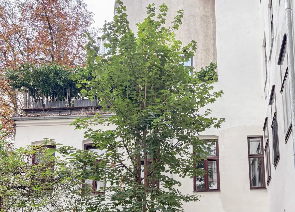 3-Zimmer-Wohnung kaufen in Wien – 66,65 m², € 449.000 – Bild 5 von 11