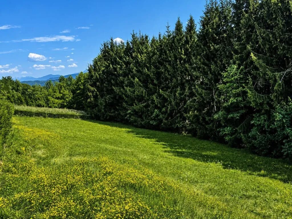 Grundstück kaufen in Villach Land – 1 793 m², € 199.000 – Bild 2 von 5