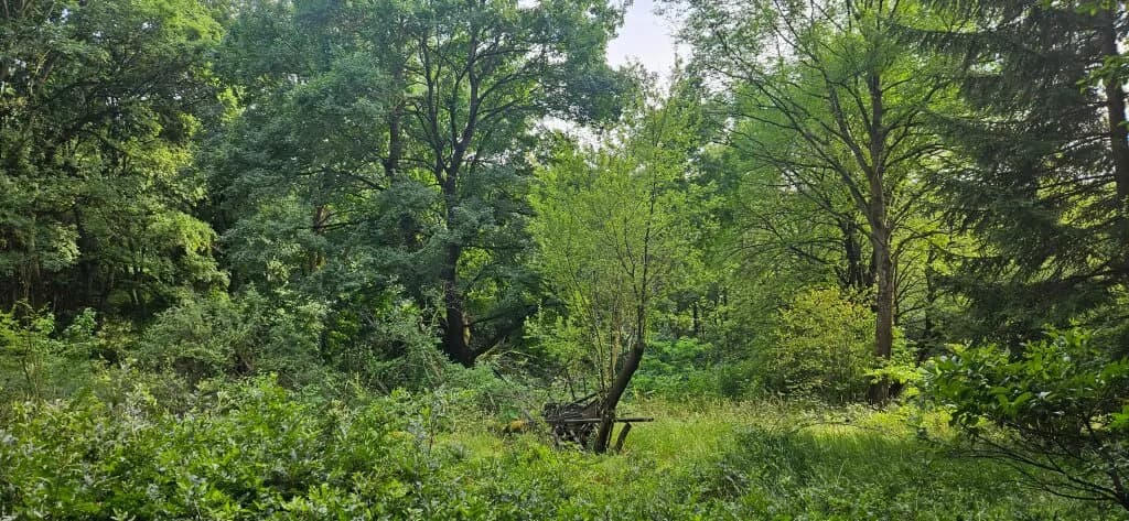 Grundstück kaufen in Tulln – 3 625 m², € 75.000 – Bild 1 von 5