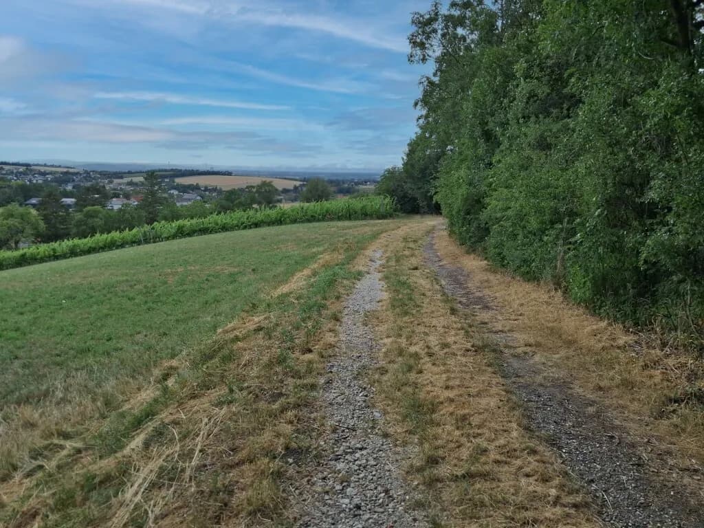 Grundstück kaufen in Tulln – 3 625 m², € 75.000 – Bild 3 von 5