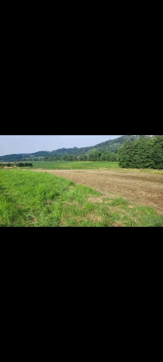 Grundstück kaufen in Leibnitz – 3 800 m², € 350.000 – Bild 2 von 3