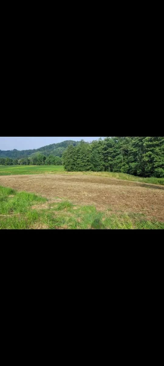 Grundstück kaufen in Leibnitz – 3 800 m², € 350.000 – Bild 3 von 3