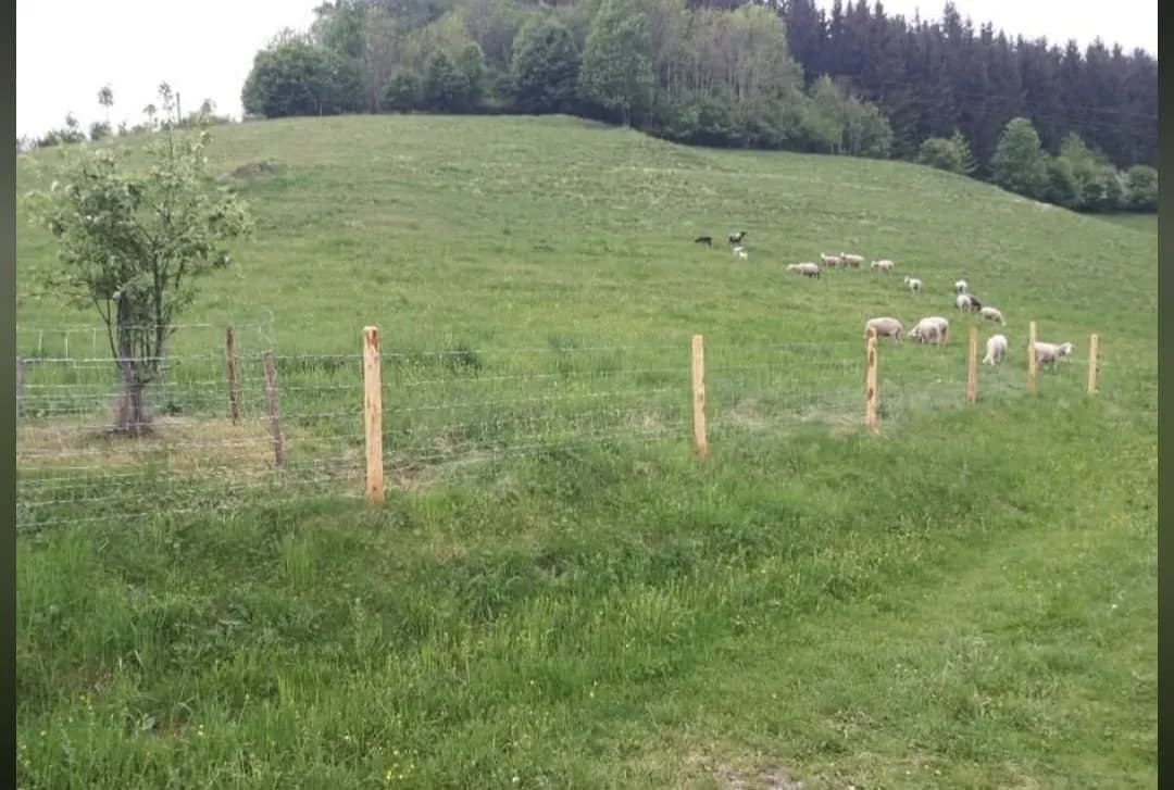 Immobilie mieten in Wolfsberg – 35 000 m² – Bild 7 von 16