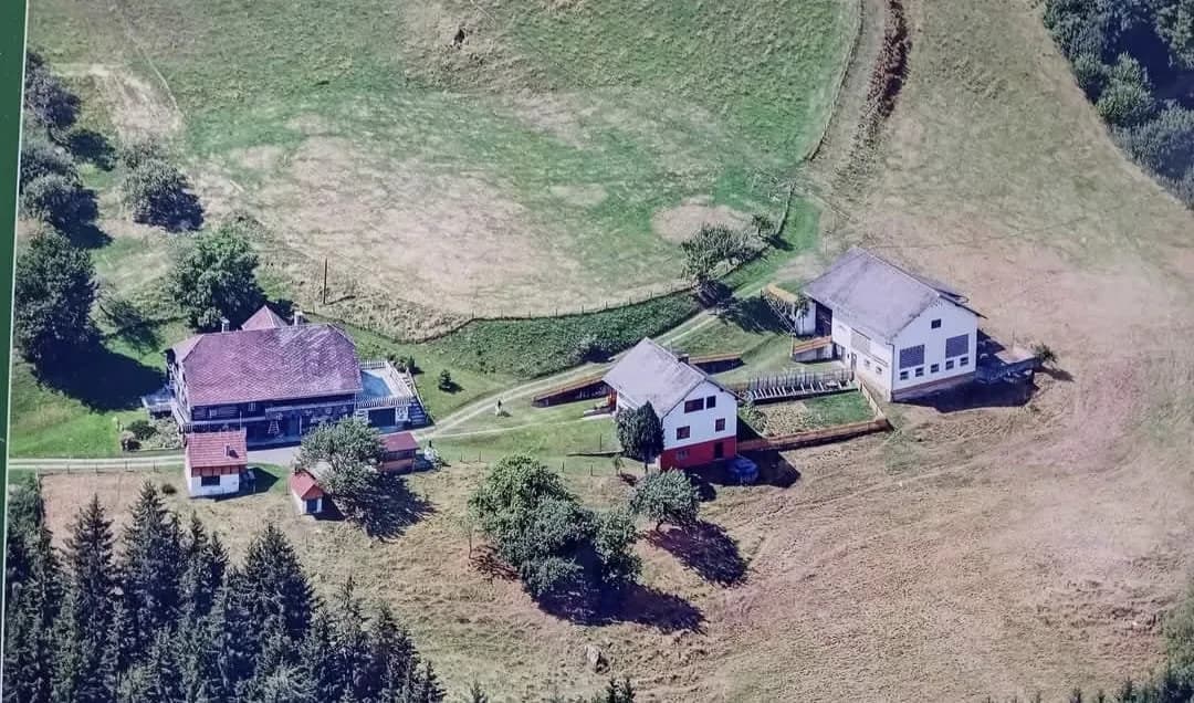 Immobilie mieten in Wolfsberg – 35 000 m² – Bild 8 von 16