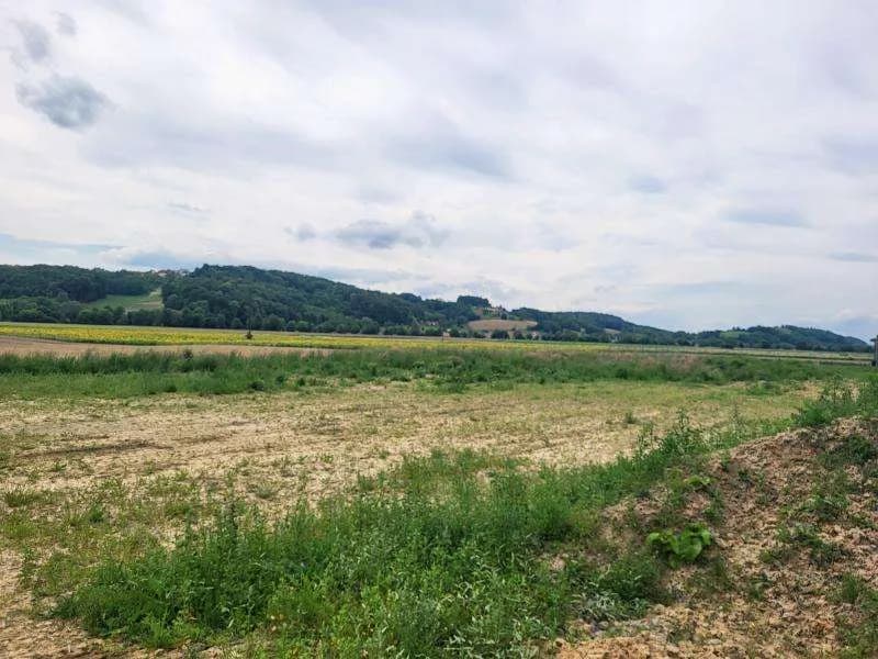 Grundstück kaufen in Hartberg-Fürstenfeld – Bild 4 von 6