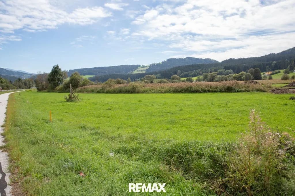 Immobilie kaufen in Wolfsberg – 27 905 m², € 2.650.975 – Bild 3 von 10