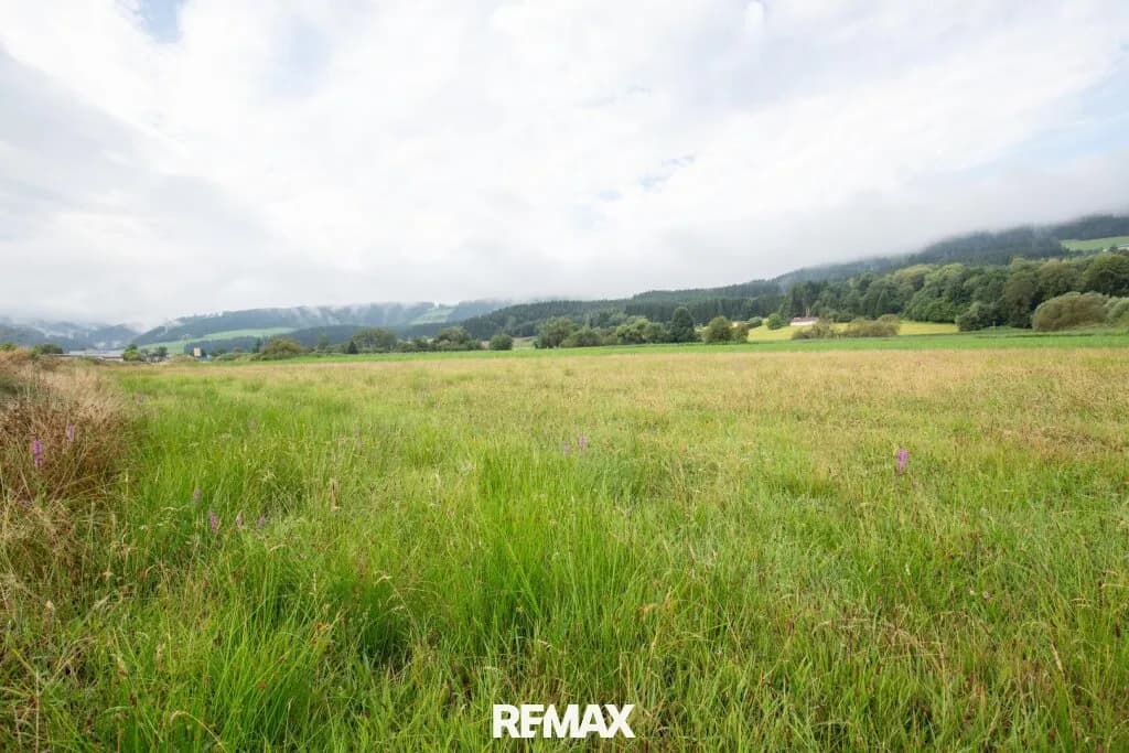 Immobilie kaufen in Wolfsberg – 27 905 m², € 2.650.975 – Bild 6 von 10