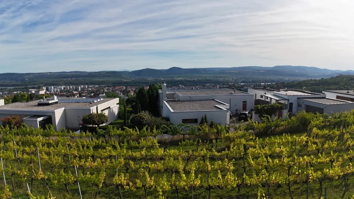Grundstück kaufen in Krems an der Donau – 841 m², € 750.000 – Bild 5 von 12