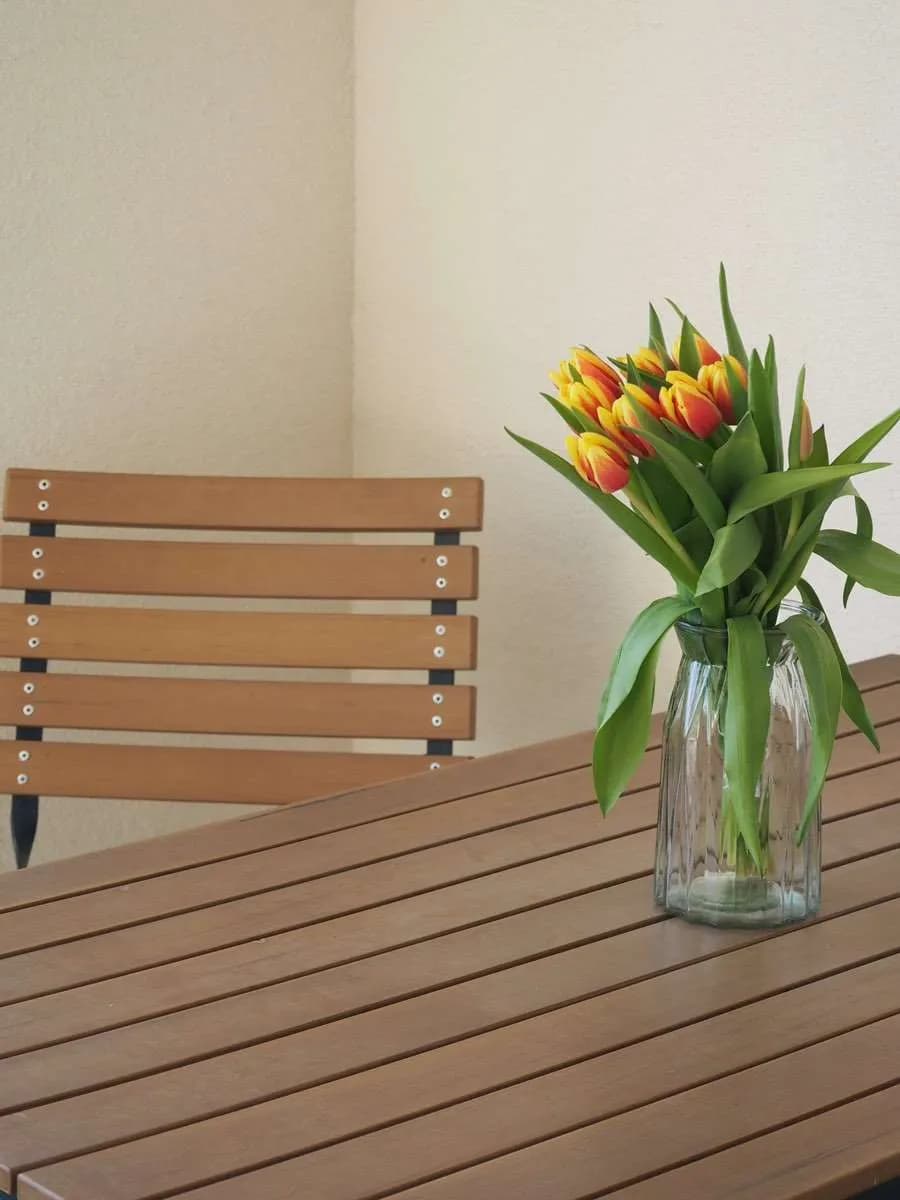 2-Zimmer-Wohnung mieten in Klagenfurt Land – 45 m² – Bild 6 von 9