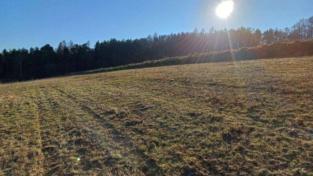 Grundstück kaufen in Jennersdorf – 5 415 m², € 19.950