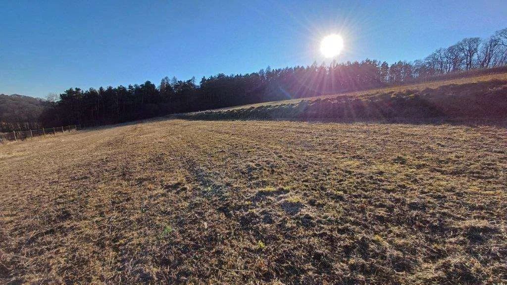 Grundstück kaufen in Jennersdorf – 5 415 m², € 19.950 – Bild 2 von 5