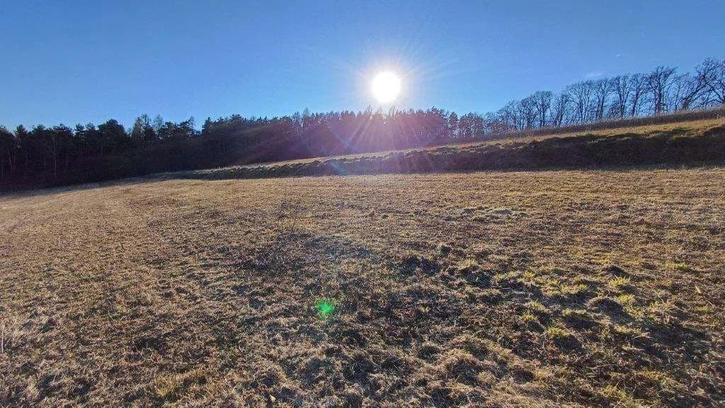 Grundstück kaufen in Jennersdorf – 5 415 m², € 19.950 – Bild 3 von 5