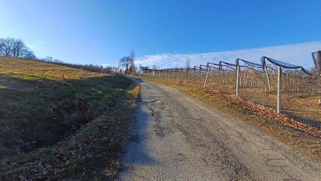 Grundstück kaufen in Jennersdorf – 5 415 m², € 19.950 – Bild 4 von 5