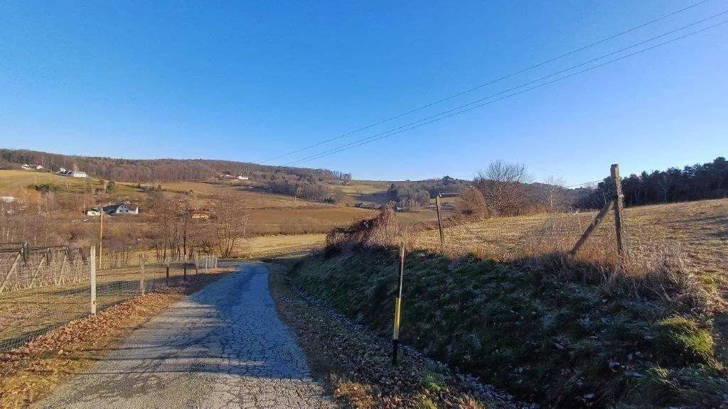 Grundstück kaufen in Jennersdorf – 5 415 m², € 19.950 – Bild 5 von 5