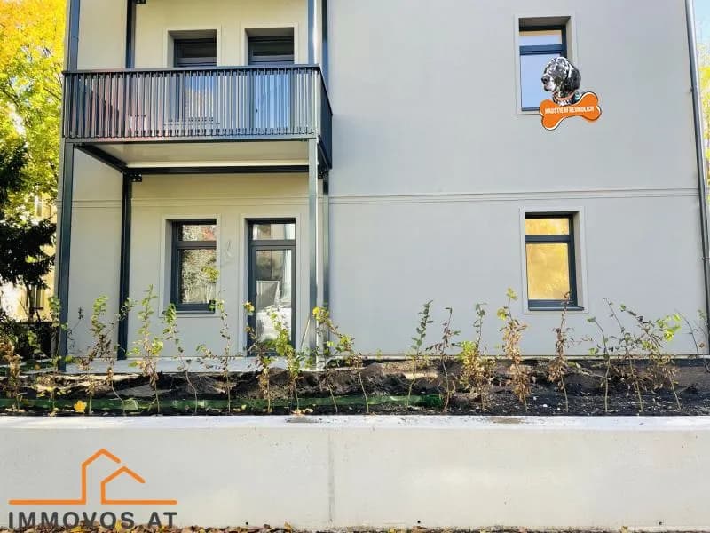 2-Zimmer-Immobilie mieten in Wien – 71,39 m², € 1.252 – Bild 2 von 7