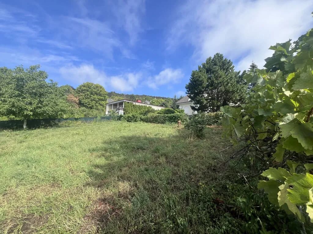 Grundstück kaufen in Baden – 700 m², € 899.000 – Bild 3 von 6
