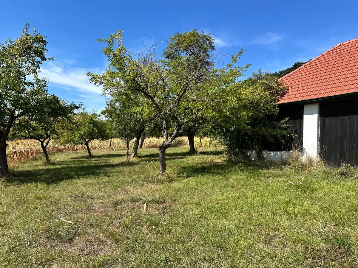 7-Zimmer-Haus mieten in Sankt Pölten Land – 250 m², € 2.200 – Bild 72 von 80