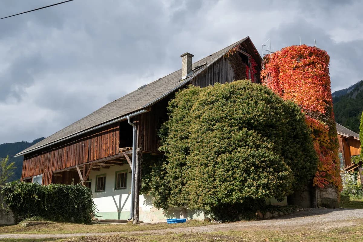 Immobilie kaufen in Villach Land – 240 m², € 980.000 – Bild 22 von 66