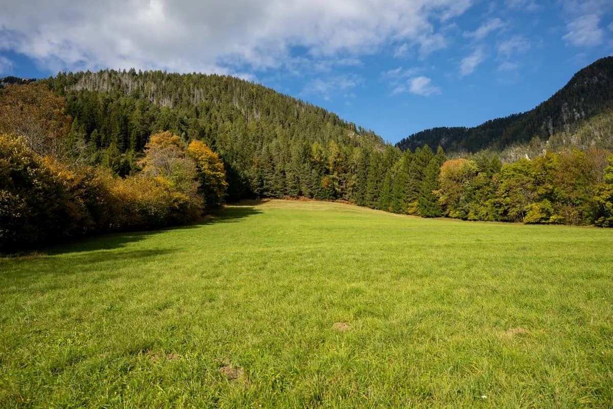 Immobilie kaufen in Villach Land – 240 m², € 980.000 – Bild 30 von 66