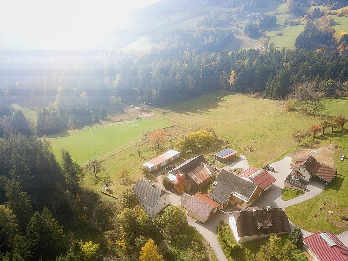 Immobilie kaufen in Villach Land – 240 m², € 980.000 – Bild 62 von 66