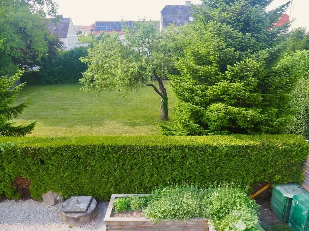 3-Zimmer-Wohnung mieten in Wels – 90 m², € 1.200 – Bild 2 von 31