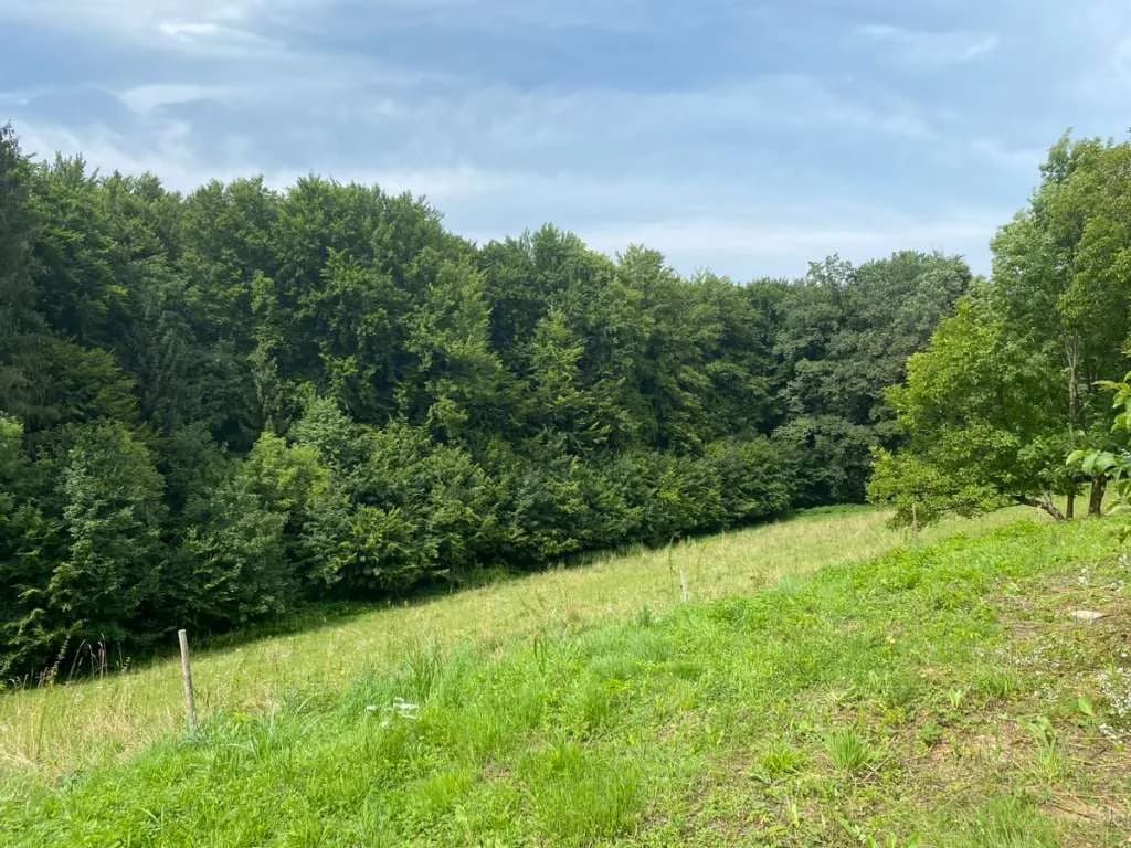 Immobilie kaufen in Leibnitz – 15 500 m², € 100.000 – Bild 4 von 5