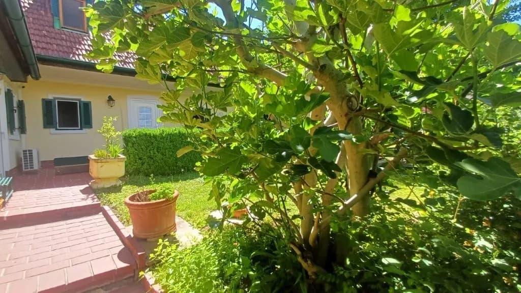 4-Zimmer-Haus kaufen in Jennersdorf – 153,13 m², € 389.000 – Bild 3 von 55