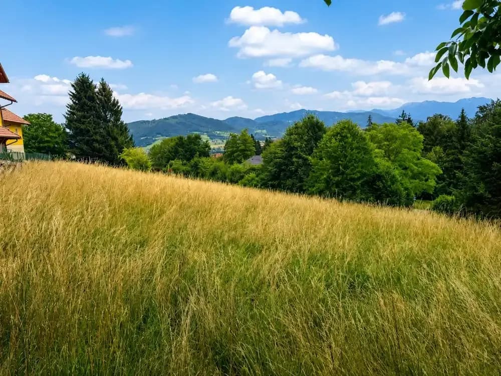 Grundstück kaufen in Kirchdorf an der Krems – 1 056 m², € 227.040 – Bild 3 von 8