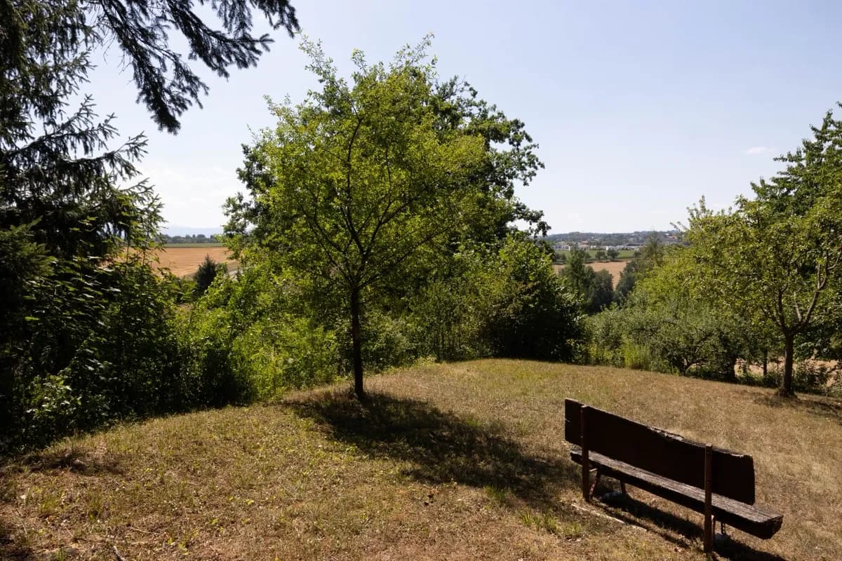 Haus kaufen in Steyr-Land – 115 m², € 1.688.888 – Bild 11 von 35