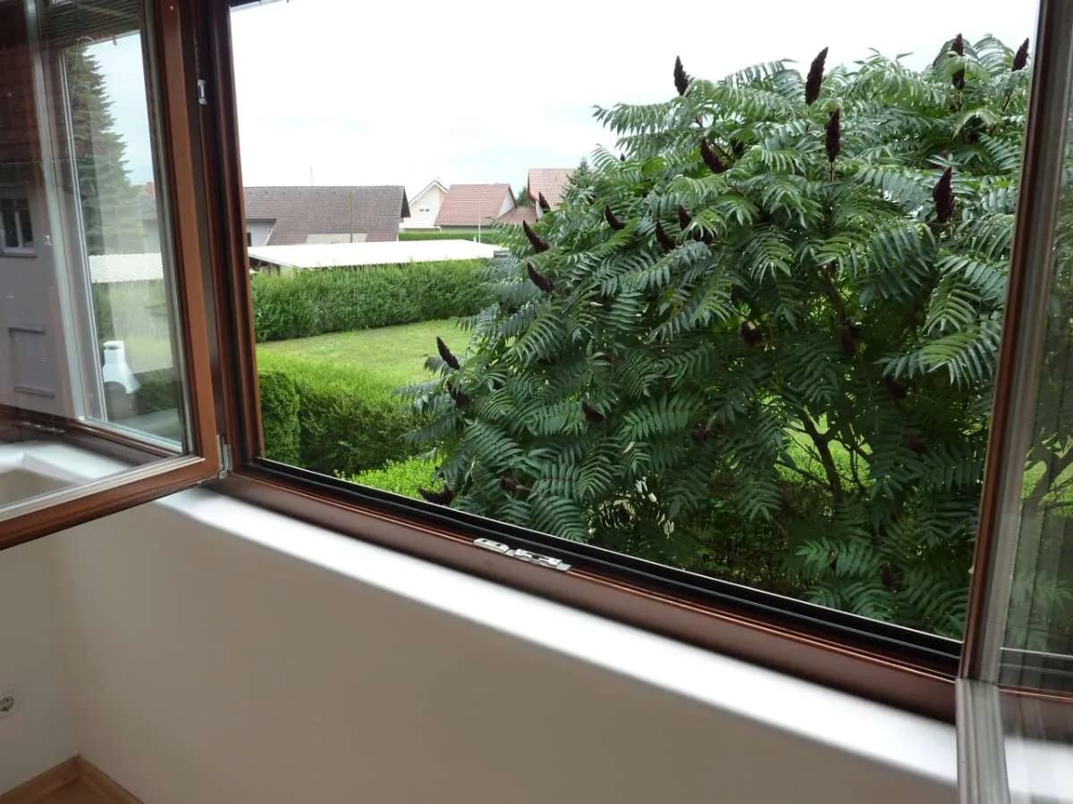 2-Zimmer-Wohnung mieten in Leibnitz – 75 m², € 740 – Bild 5 von 16