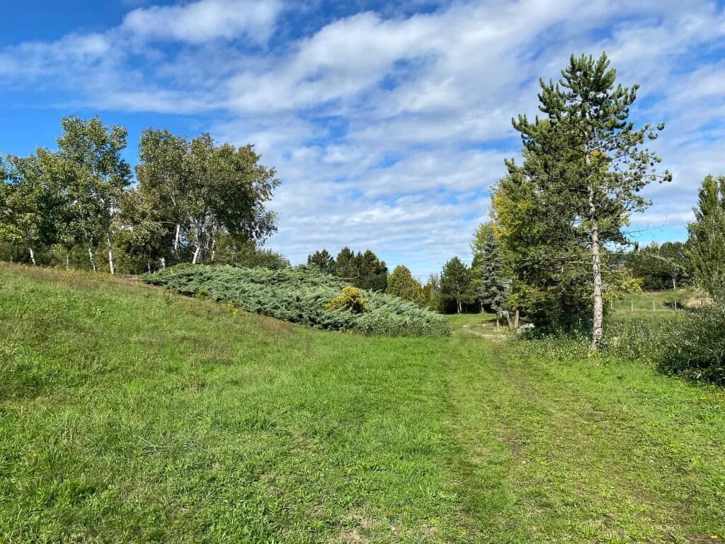 Grundstück kaufen in Baden – 60 000 m², € 2.950.000 – Bild 4 von 19