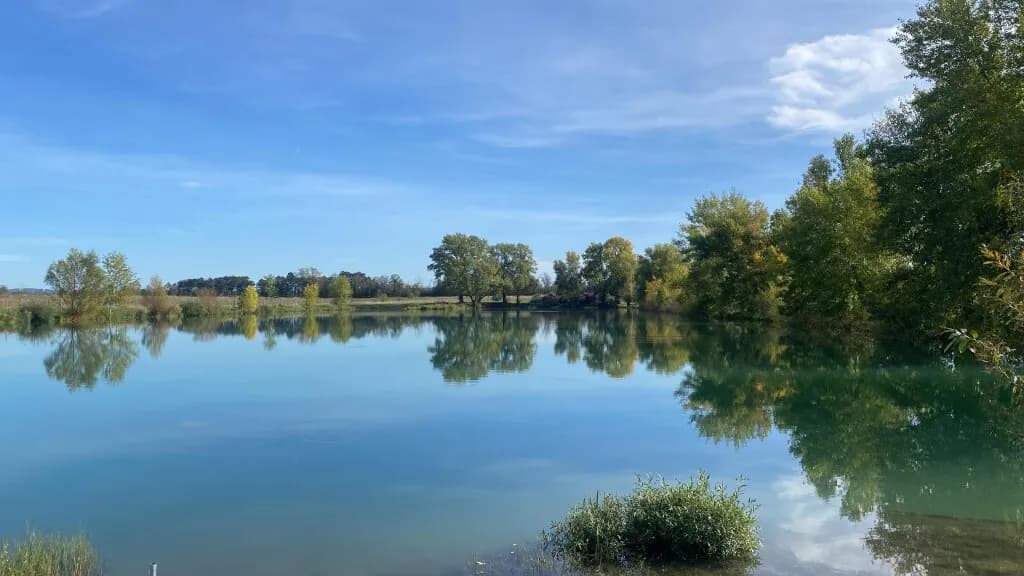 Grundstück kaufen in Baden – 60 000 m², € 2.950.000 – Bild 5 von 19