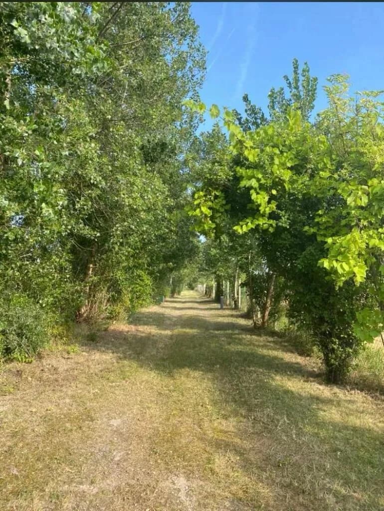 Grundstück kaufen in Baden – 60 000 m², € 2.950.000 – Bild 6 von 19