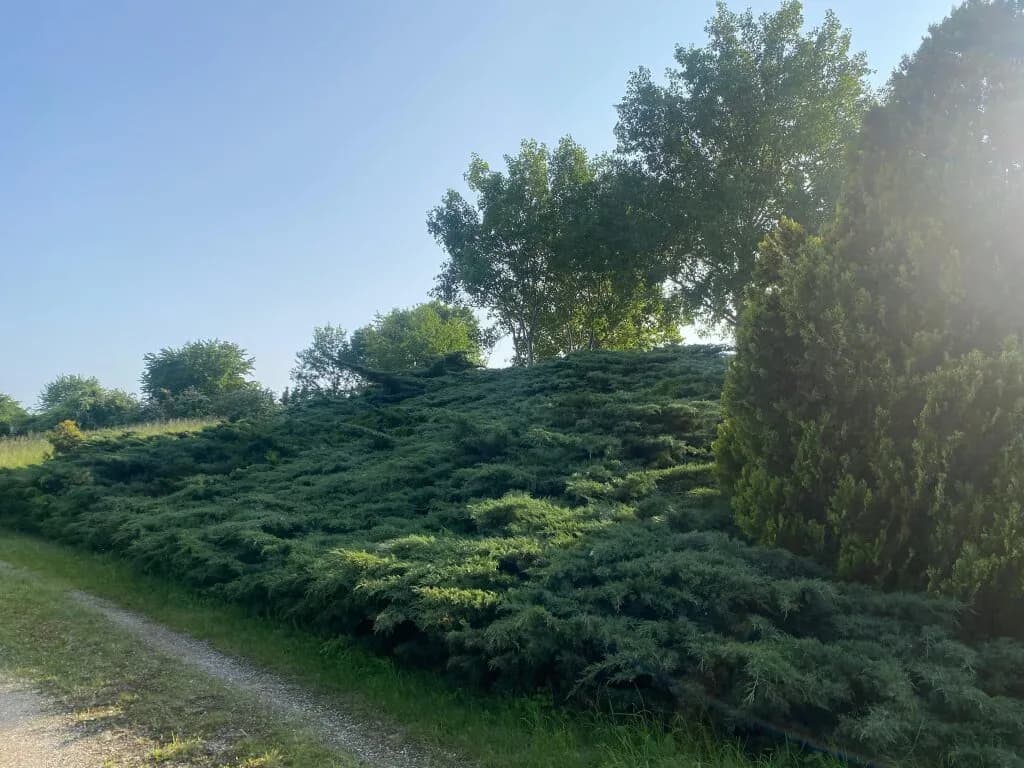 Grundstück kaufen in Baden – 60 000 m², € 2.950.000 – Bild 9 von 19