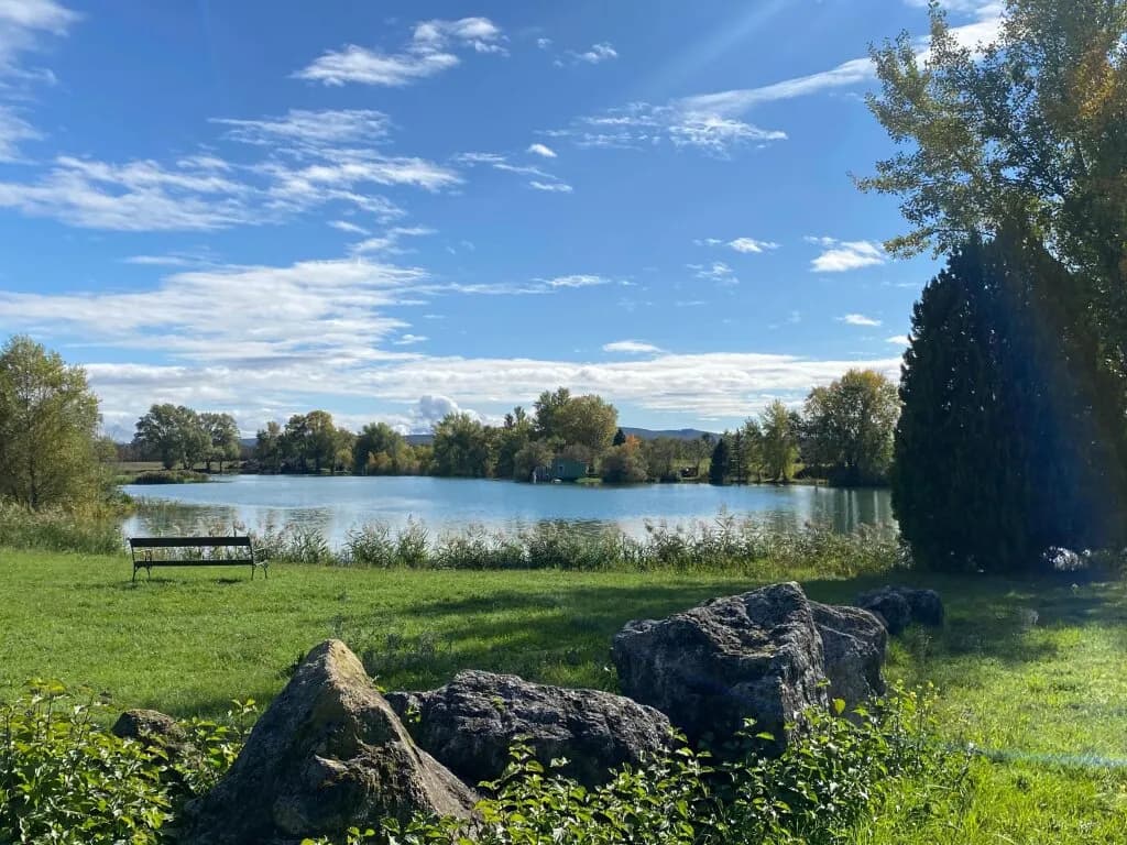 Grundstück kaufen in Baden – 60 000 m², € 2.950.000 – Bild 17 von 19