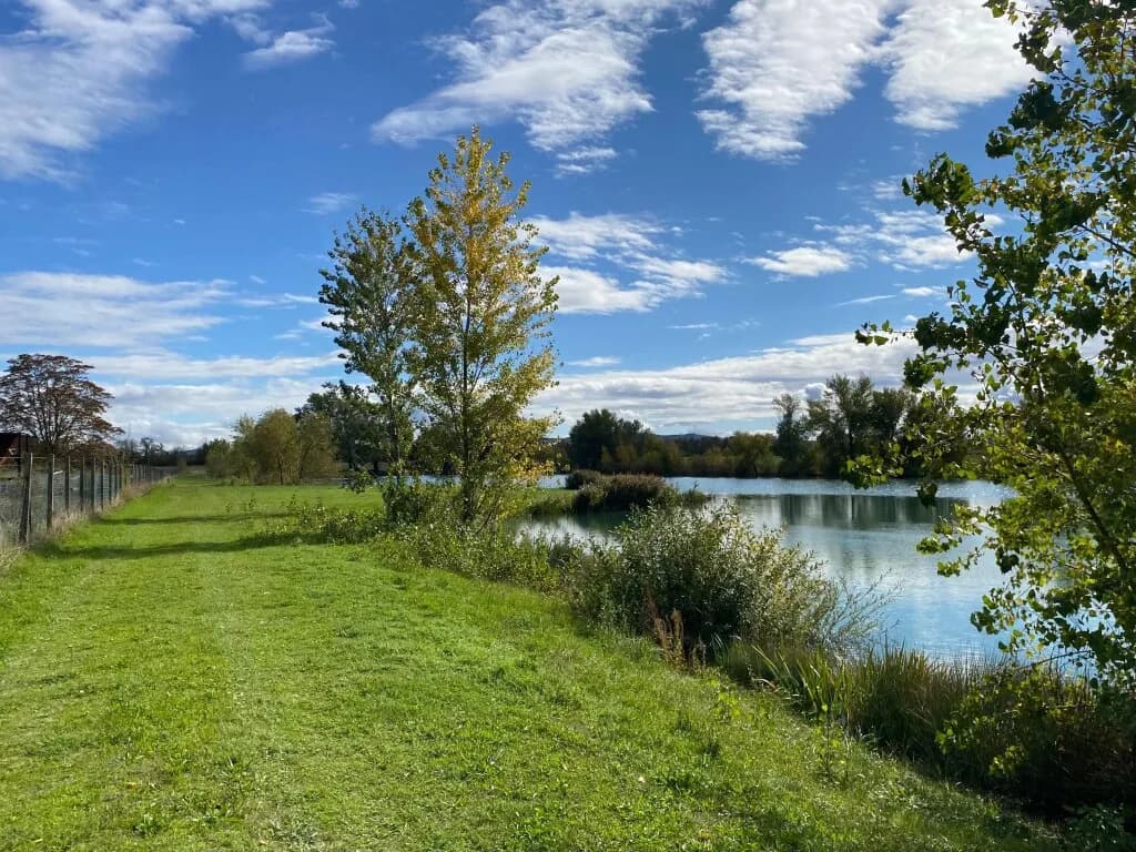 Grundstück kaufen in Baden – 60 000 m², € 2.950.000 – Bild 18 von 19