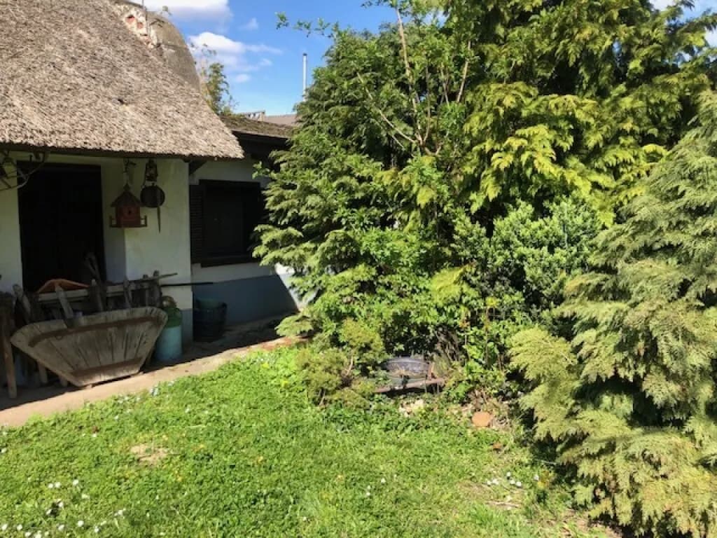 4-Zimmer-Haus kaufen in Neusiedl am See – 130 m², € 399.000 – Bild 7 von 16
