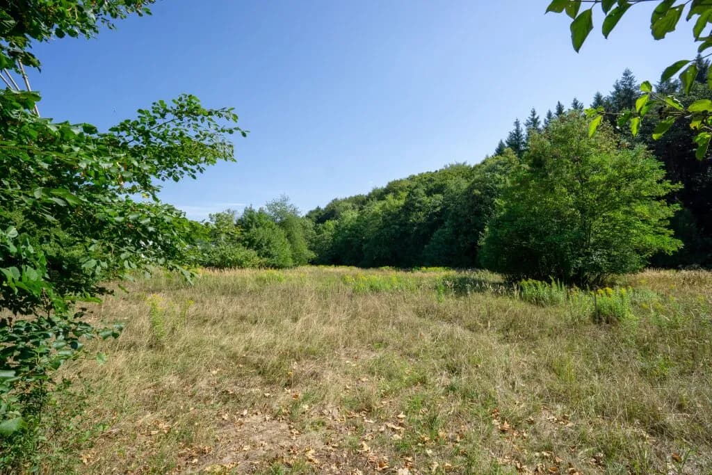 Immobilie kaufen in Sankt Pölten Land – 4 674 m², € 1.190.000 – Bild 4 von 7