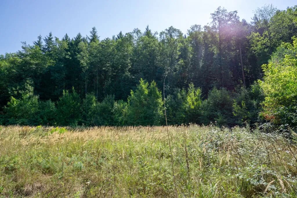 Immobilie kaufen in Sankt Pölten Land – 4 674 m², € 1.190.000 – Bild 5 von 7