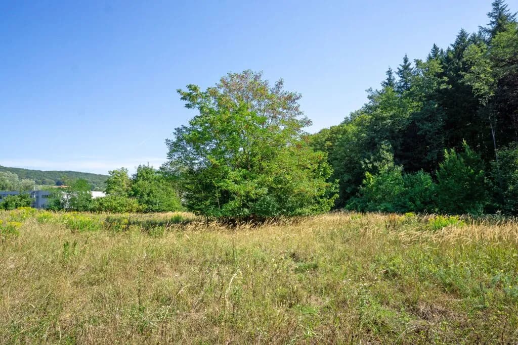 Immobilie kaufen in Sankt Pölten Land – 4 674 m², € 1.190.000 – Bild 6 von 7