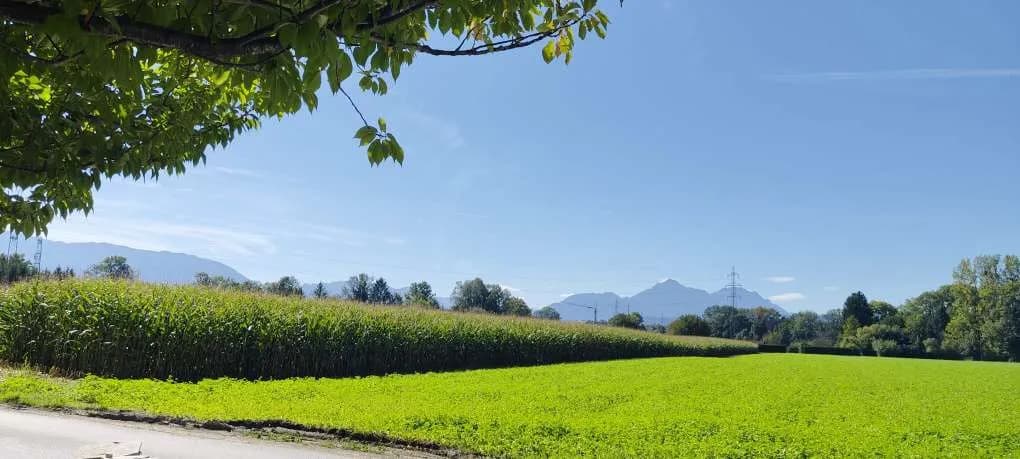 3-Zimmer-Wohnung kaufen in Salzburg Stadt – 60 m², € 280.000 – Bild 17 von 17