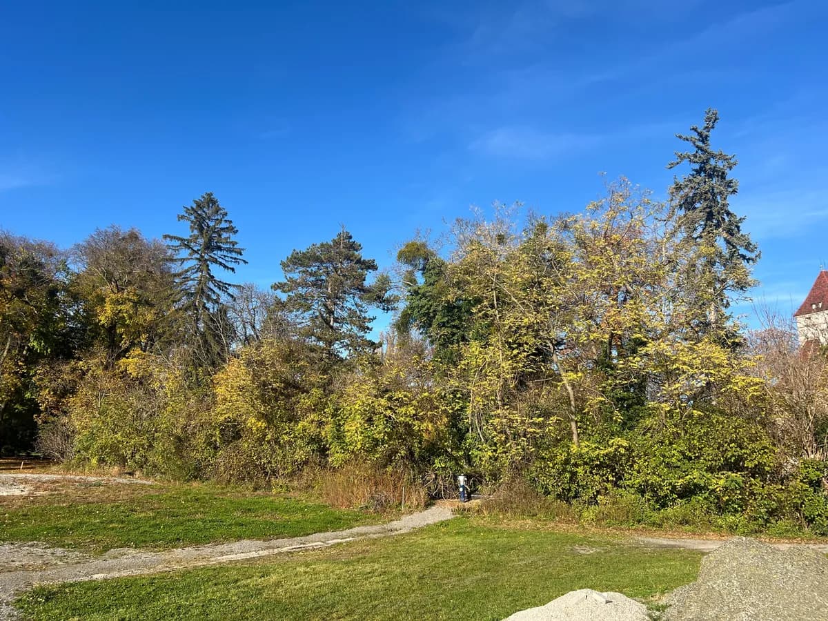 Grundstück kaufen in Baden – 633 m², € 411.450 – Bild 8 von 10